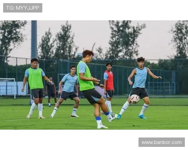 媒体人建议申花变阵：路易斯前腰激活中场，逼抢 + 传球成破局关键